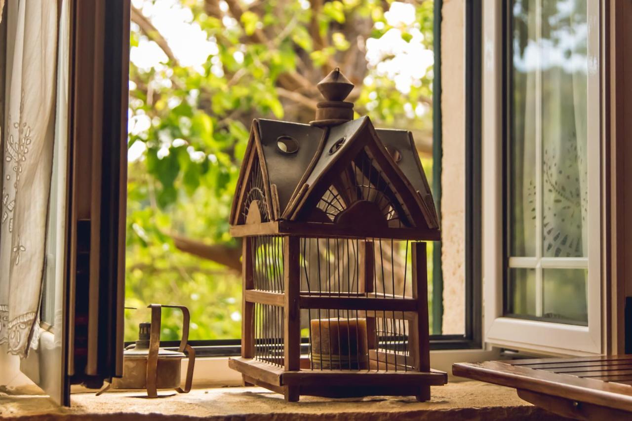 Traditional Guesthouses Xenofon Drymon Ngoại thất bức ảnh
