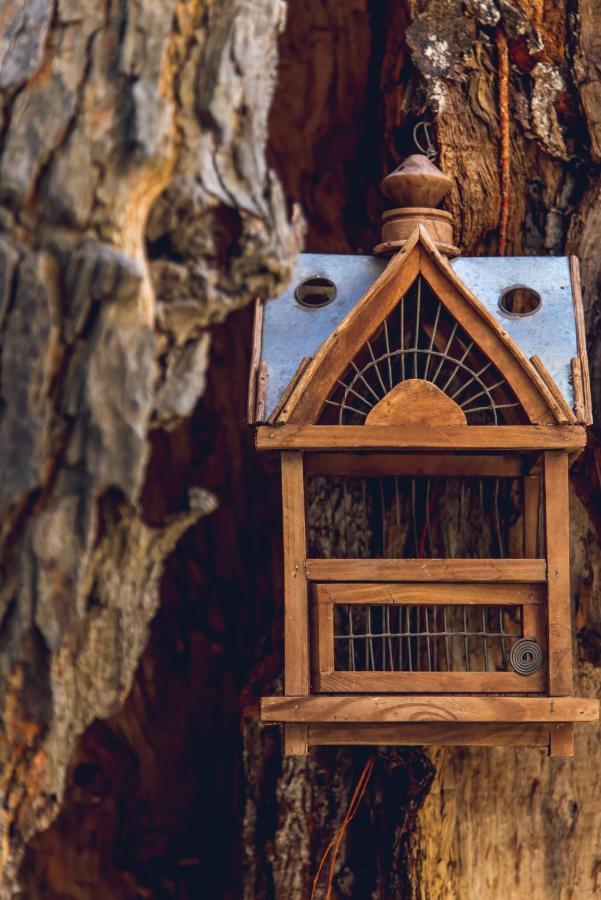 Traditional Guesthouses Xenofon Drymon Ngoại thất bức ảnh