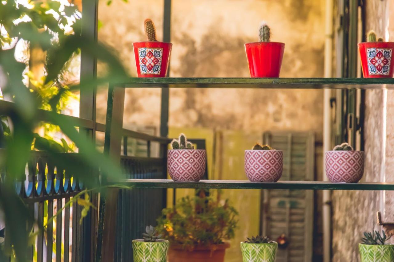 Traditional Guesthouses Xenofon Drymon Ngoại thất bức ảnh